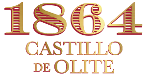 1864 Castillo de Olite